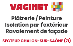 vaginet